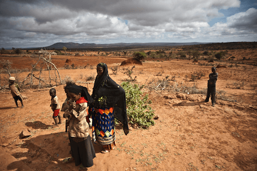 በድርቅ የተጎዱ አካባቢዎች ላይ የሚደርሰው እርዳታ በቂ እንዳልሆነ ታወቀ