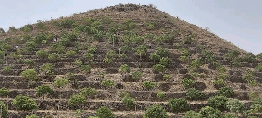 በውሃ እጥረት ምክንያት ለዳግም በርሃማነት አደጋ የተጋለጠው የአርጎባ ወረዳው 'ደለመኔ' ተራራ 