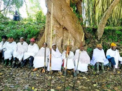 “ዱብሻ’’  የጋሞዎች ባህላዊ የፍትህ አደባባይ 